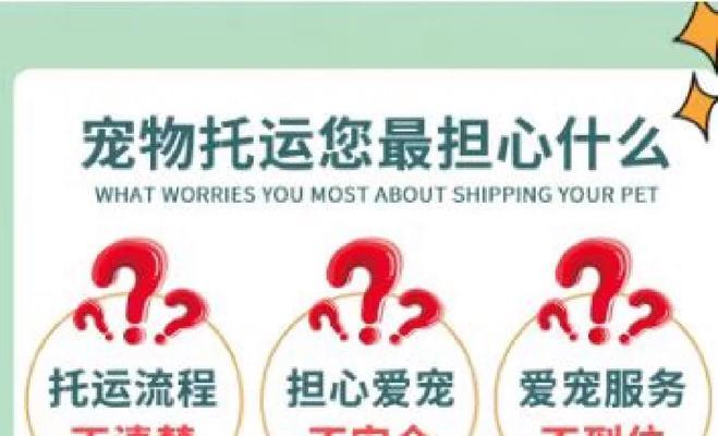 经济方式托运宠物狗的方法是什么？