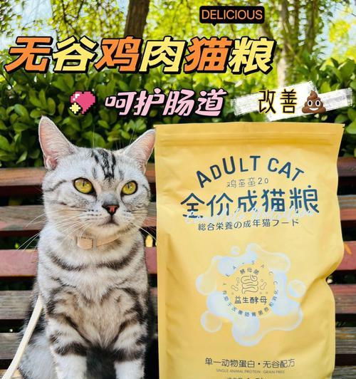 猫咪偏爱素食猫砂怎么调整？调整方法有哪些？