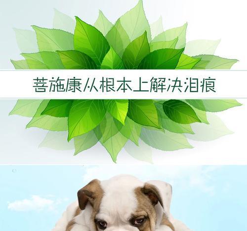 比熊眼屎粘稠怎么办？哪种药物效果最好？