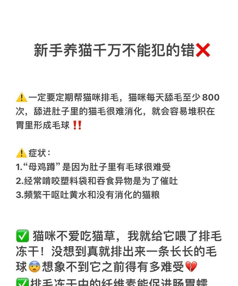 宠物猫之间频繁打斗如何解决？防止猫咬猫的有效方法是什么？