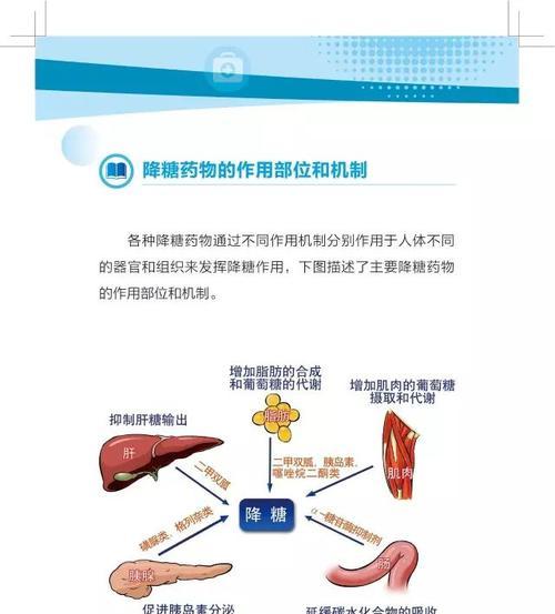 吉娃娃呼吸困难如何应对？推荐的药物有哪些？