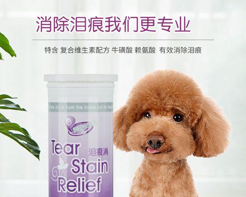 比熊眼屎粘稠应使用哪种药物？如何正确使用？