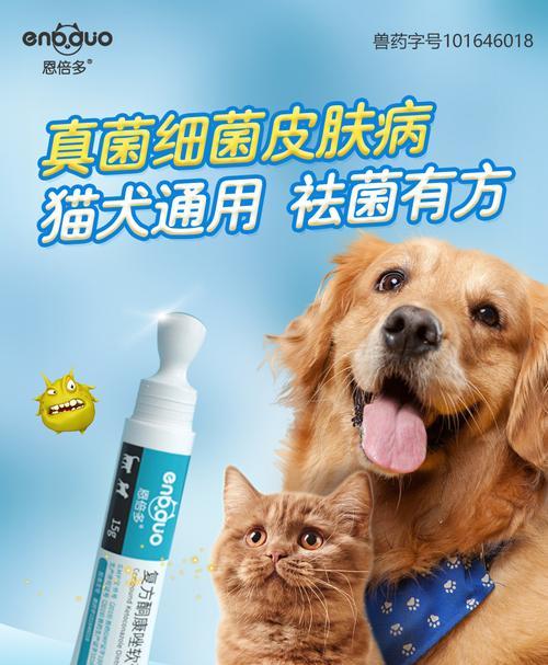 狗狗真菌感染应该使用哪种药膏？如何正确使用？