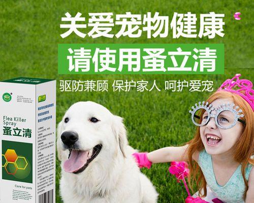 狗狗撞伤了用什么药？家庭急救和兽医推荐的处理方法是什么？