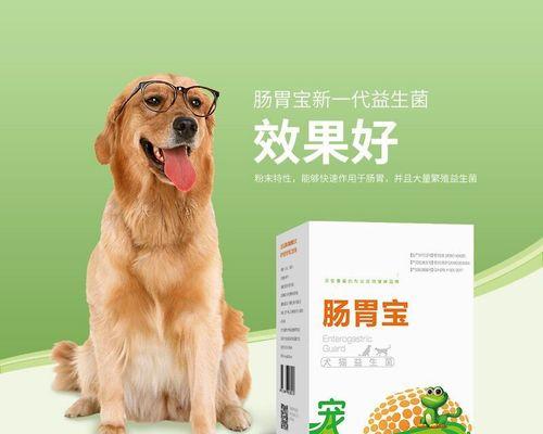 狗狗坐月子期间的饮食指南：什么食物最适合？