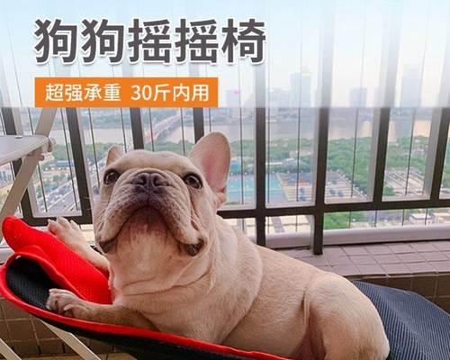 狗老睡人旁边怎么办？如何训练狗狗改变这个习惯？