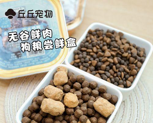 狗粮可以用开始泡吗？泡狗粮的正确步骤和注意事项是什么？