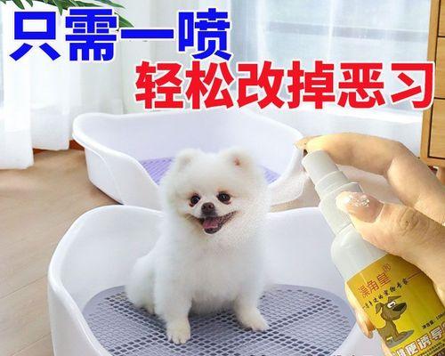 狗狗便秘怎么办？有效解决方法有哪些？