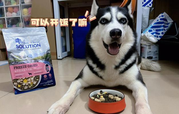 狗狗上火食欲不振怎么解决？