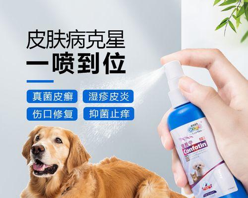 狗狗呕吐怎么办？选择合适的药物有哪些注意事项？