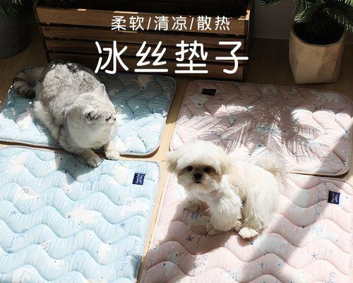 和人猫咪能吃什么药？猫咪用药安全指南是什么？