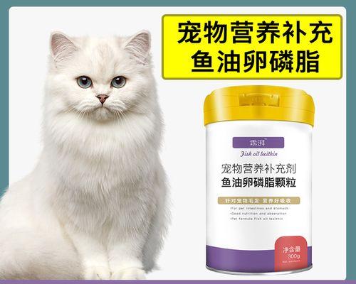 怀孕的猫不能吃什么？如何确保孕期猫咪饮食安全？