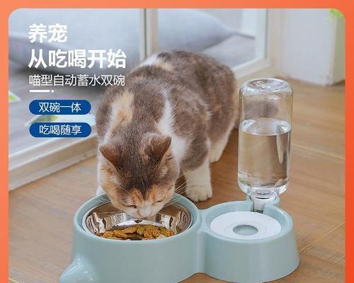 换猫时应该准备哪些物品？如何确保猫咪适应新环境？