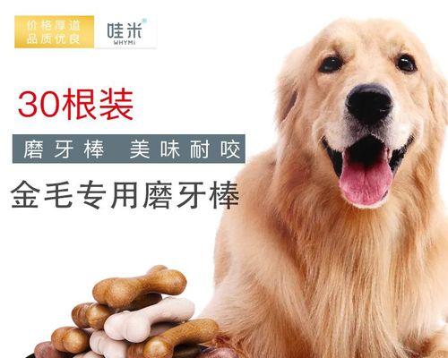 金毛狗什么不可以吃？宠物饮食禁忌有哪些？