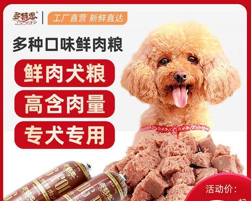 金毛犬不喂狗粮可以吗？替代食物有哪些选择？