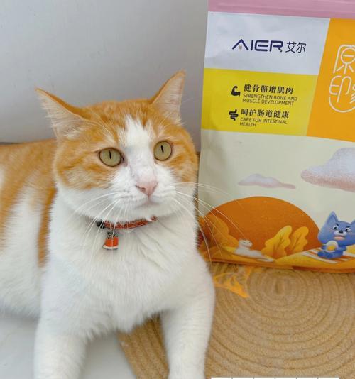 猫咪可以吃蛋黄吗？蛋黄对猫咪健康的影响是什么？