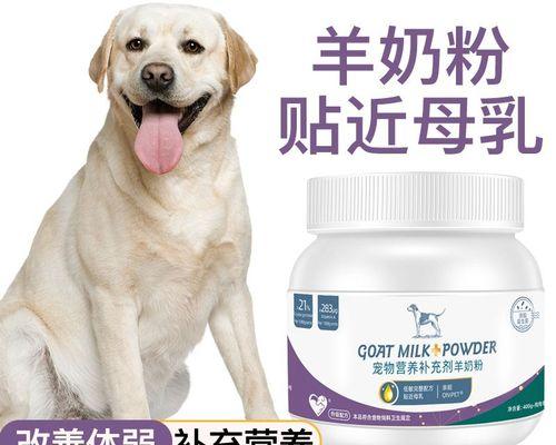 老年狗不吃饭怎么办？如何解决老年犬食欲不振问题？