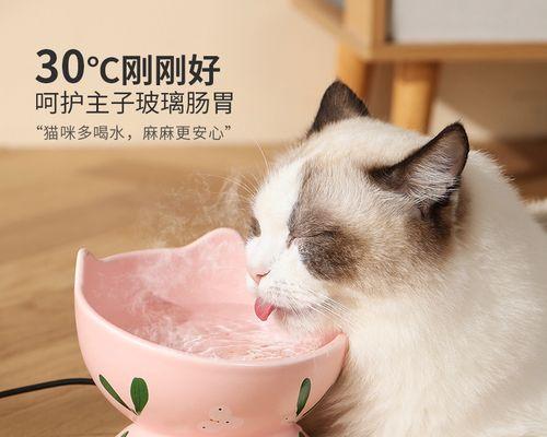 两个月大的猫咪不喝水怎么办？常见原因与解决方法是什么？