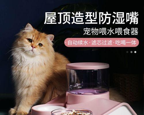 两个月大的猫咪不喝水怎么办？常见原因与解决方法是什么？