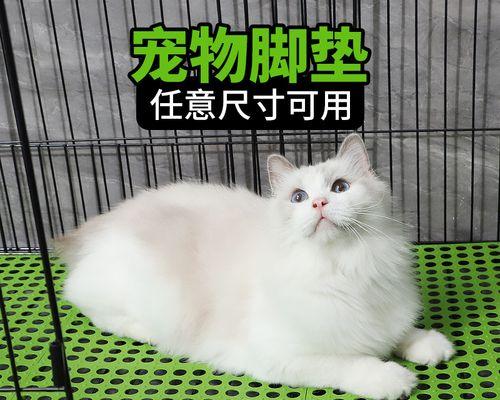 猫咪乱尿尿是什么原因？如何解决？