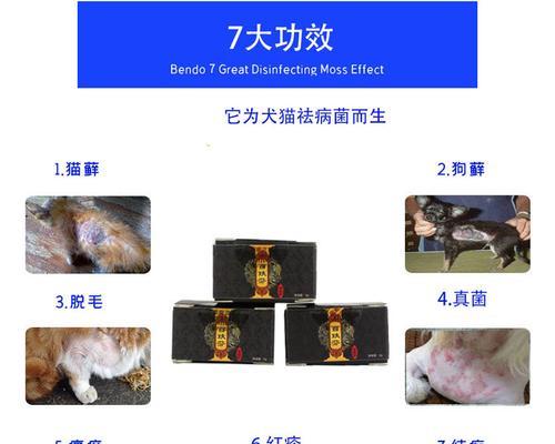 猫长湿疹是怎么样的？如何识别和处理猫的湿疹问题？