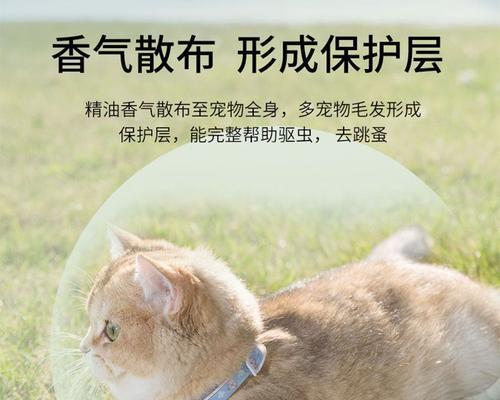 猫虫清口服液效果如何？使用后常见问题解答？