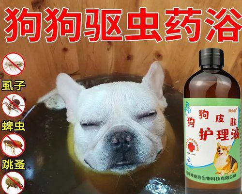 猫打架受伤用什么药？如何正确处理宠物伤口？