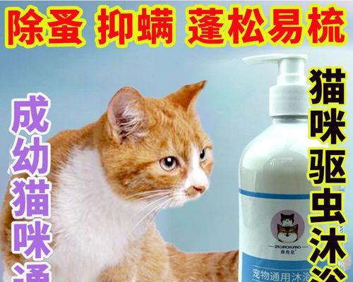 猫得了螨虫怎么治疗？有效治疗方法有哪些？