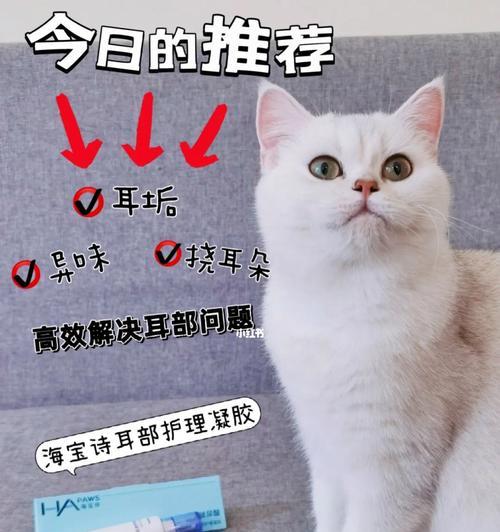 猫的耳朵有什么用处？它们如何帮助猫咪感知世界？