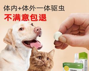 猫脚发炎了用什么药？如何正确处理宠物的脚部炎症？