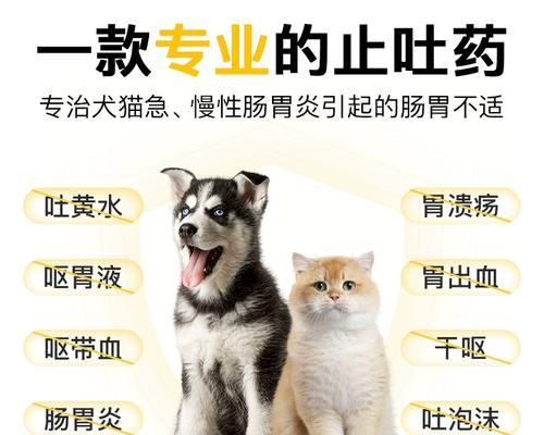 猫拉稀吐白沫怎么办？如何快速识别并处理？