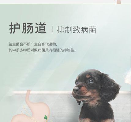 猫拉稀用什么药好使？如何快速缓解宠物不适？