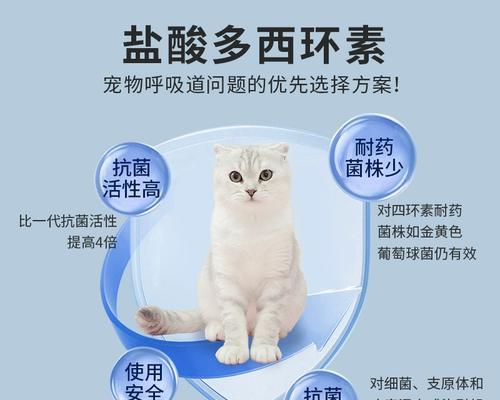 猫老咳嗽吃什么药好？如何选择合适的治疗方案？