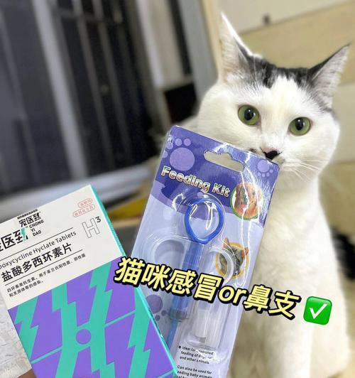 猫流行感冒吃什么药？如何正确选择猫咪感冒药物？