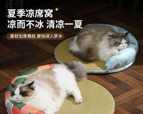 猫妈妈叼小猫的原因是什么？这样做对小猫有好处吗？