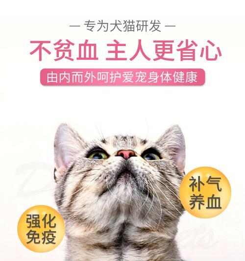 猫尿路感染治疗费用是多少？如何预防和治疗？