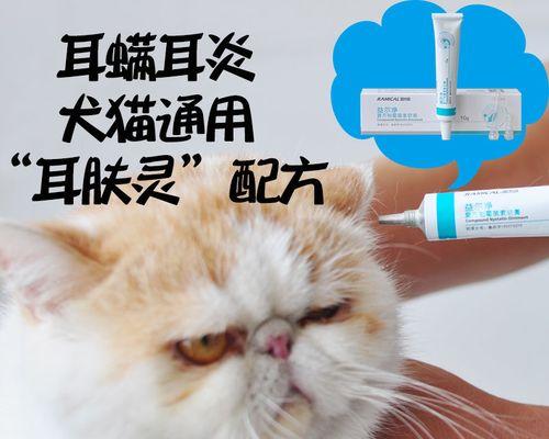 猫清洗耳朵应该使用哪种药物？如何正确进行耳朵清洁？