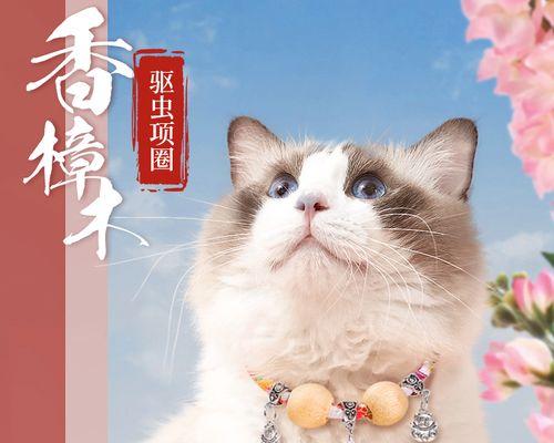 猫如果有跳蚤怎么办？如何有效处理和预防？