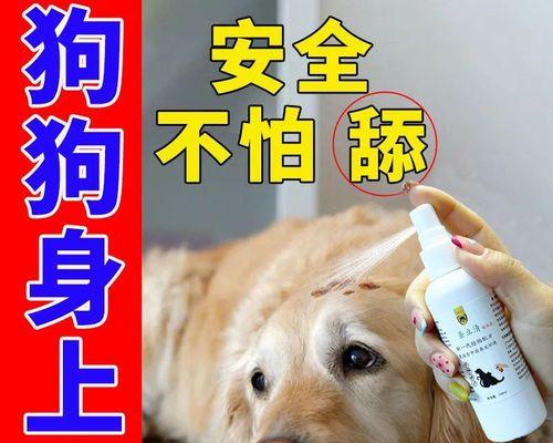 猫如果有跳蚤怎么办？如何有效处理和预防？