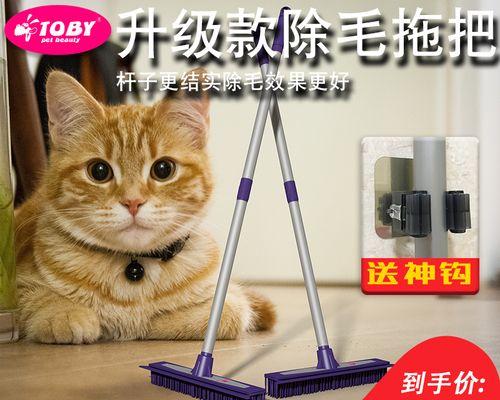 猫生了以后怎么清理？清理新生小猫的正确步骤是什么？