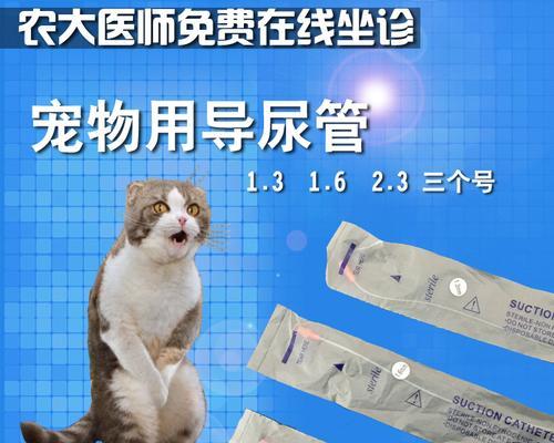 猫什么情况下需要导尿？导尿的正确时机和方法是什么？