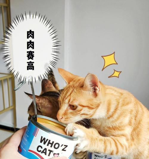 猫一次能吃多少罐头？如何根据体重选择合适的食量？