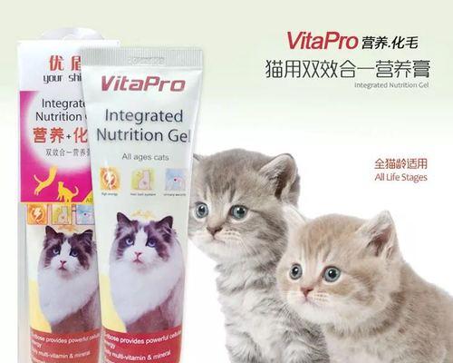 猫一天应该吃多少营养膏？如何正确喂食？