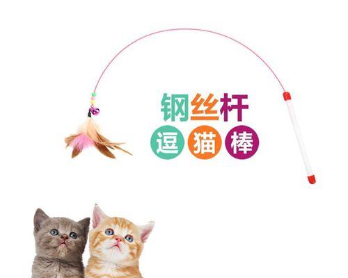 猫咪的玩具怎么选？哪种类型最受猫咪欢迎？