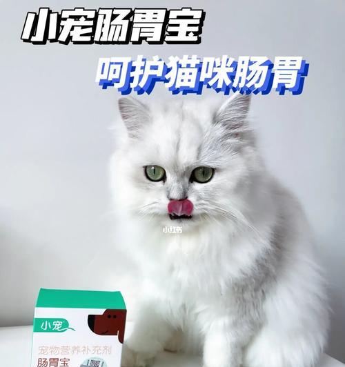 猫咪的胃在哪里图片？如何正确识别猫咪的消化系统？