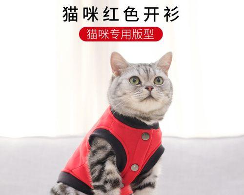 猫咪掉毛是怎么回事？如何有效减少宠物掉毛？