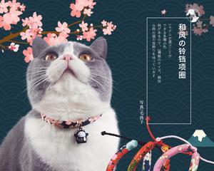 猫咪多大可以带项圈？如何选择合适的项圈？