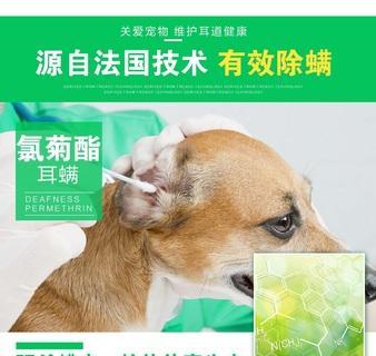 猫咪耳朵脏了怎么清洗？有哪些安全有效的清洗方法？