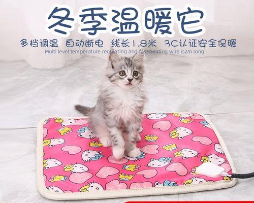 猫咪发烧但食欲正常是怎么回事？需要立即就医吗？