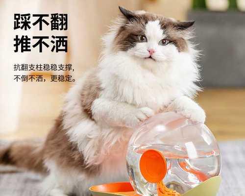 猫咪喝水四周都是水怎么办？如何防止溢水？